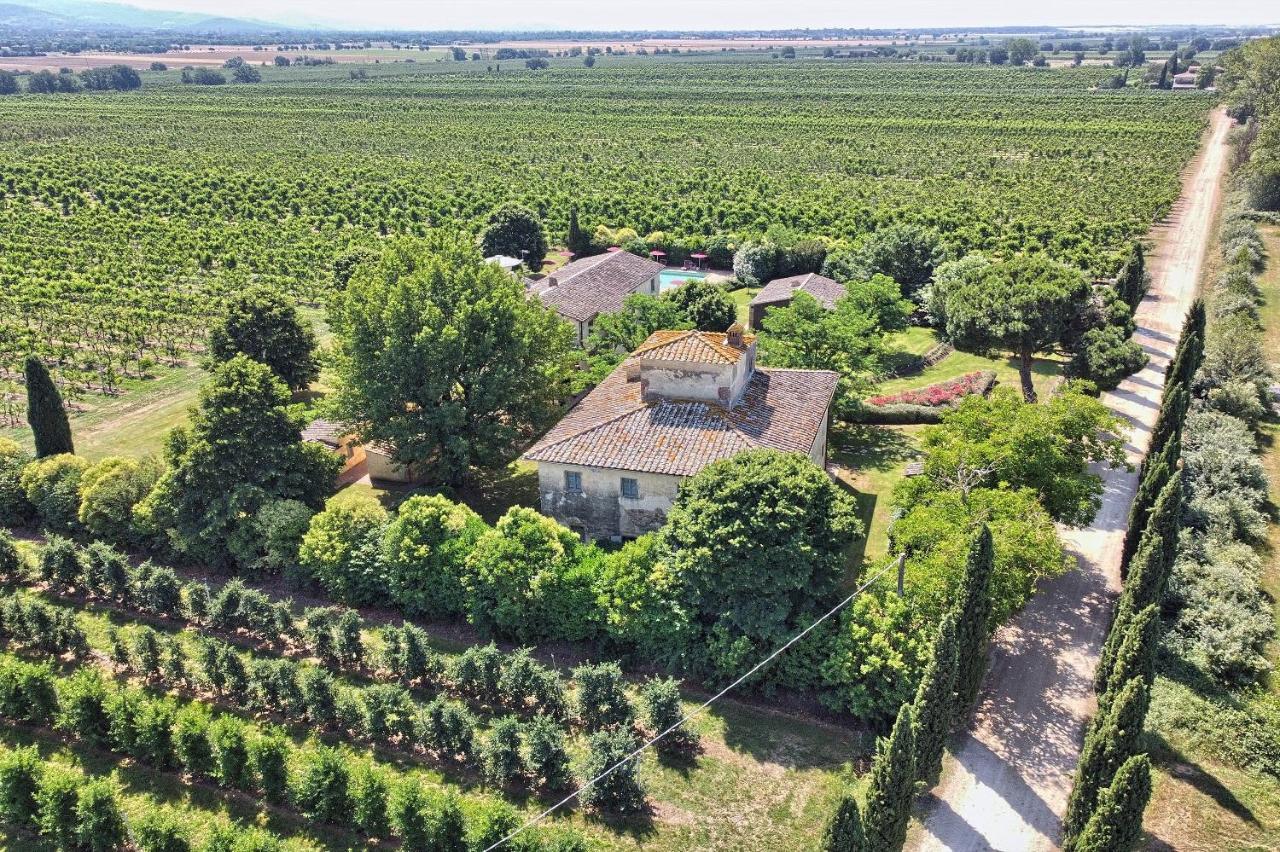 Alberoro Foresteria Il Giardino Di Fontarronco מראה חיצוני תמונה